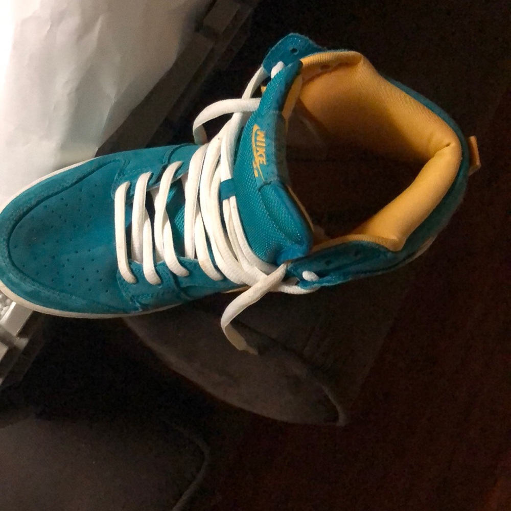 Nike sb teal edition